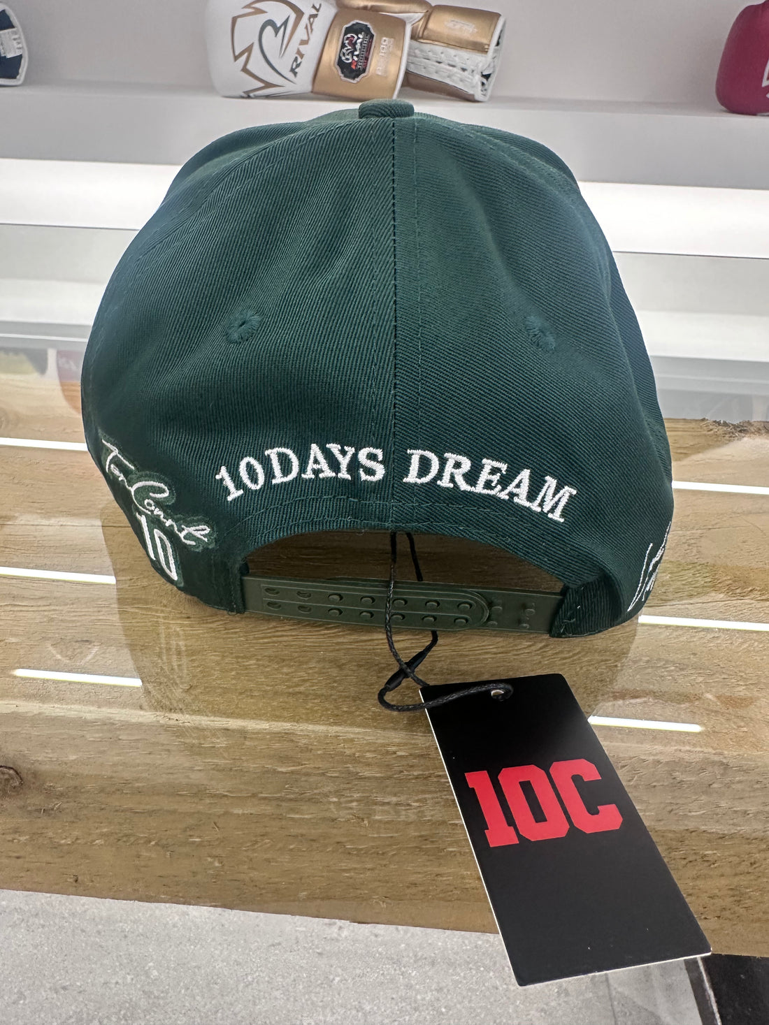 10C PITCHER CAP SYCAMORE CAP - GREEN